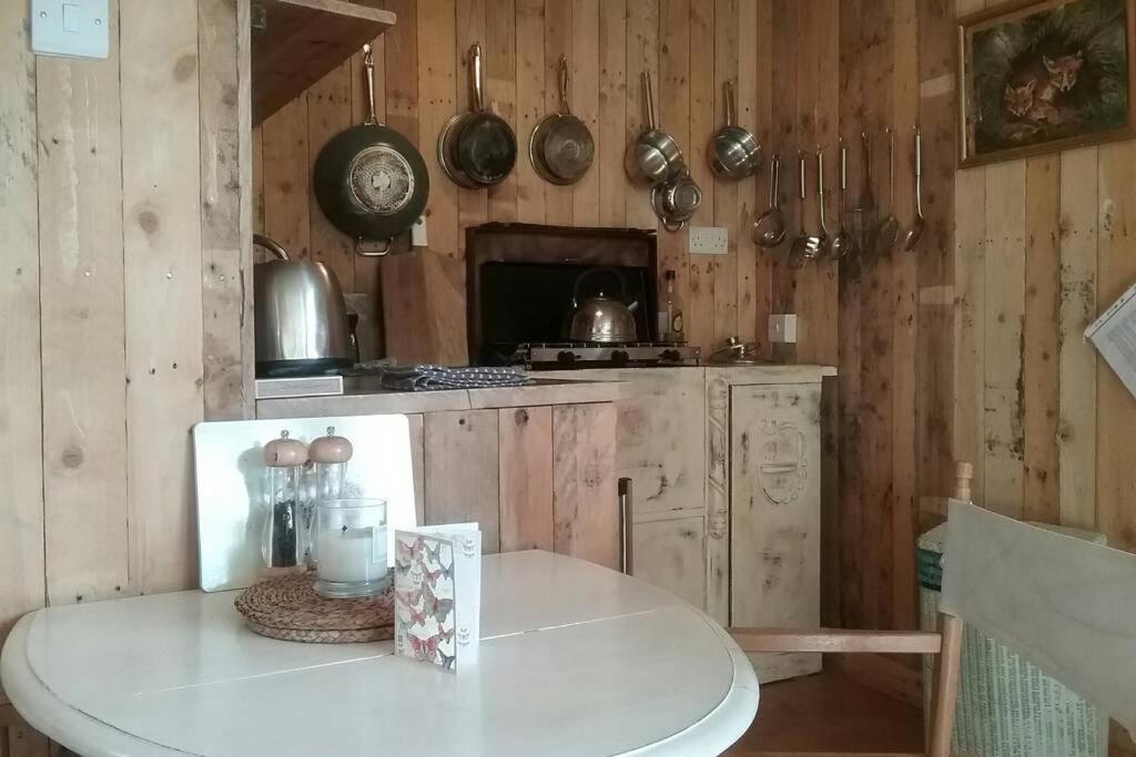 Foxesden, Unique Eco Cabin, Dartmoor Views South Brent Exteriör bild