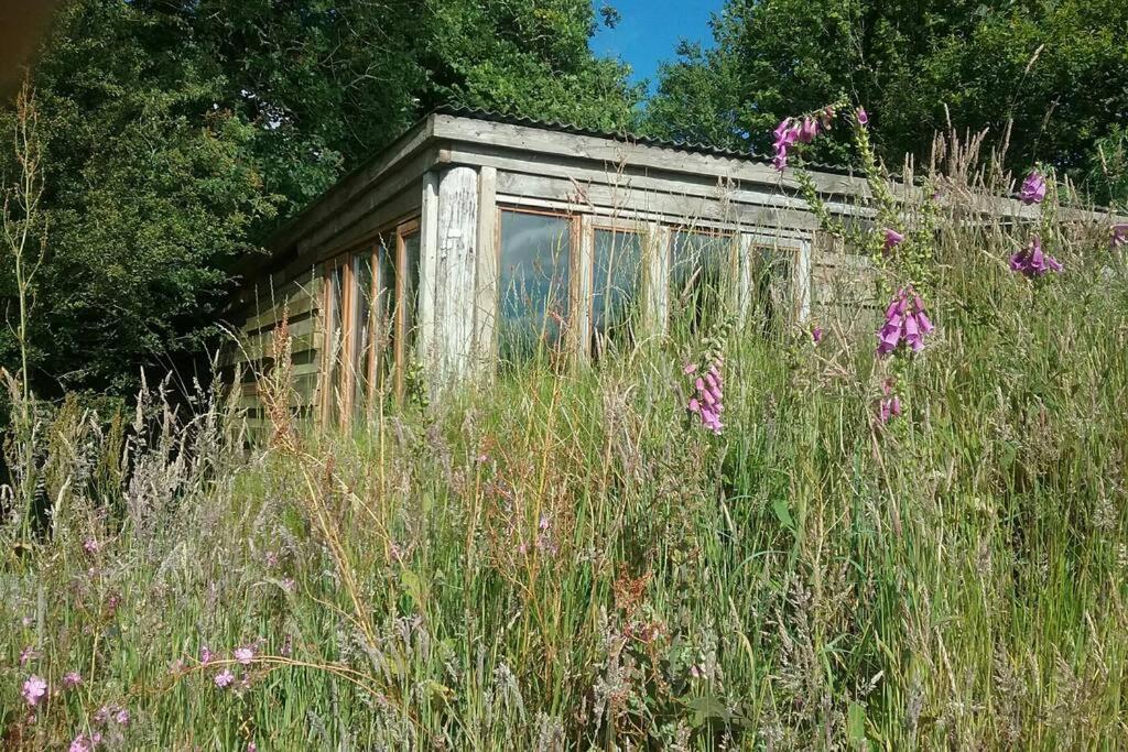 Foxesden, Unique Eco Cabin, Dartmoor Views South Brent Exteriör bild