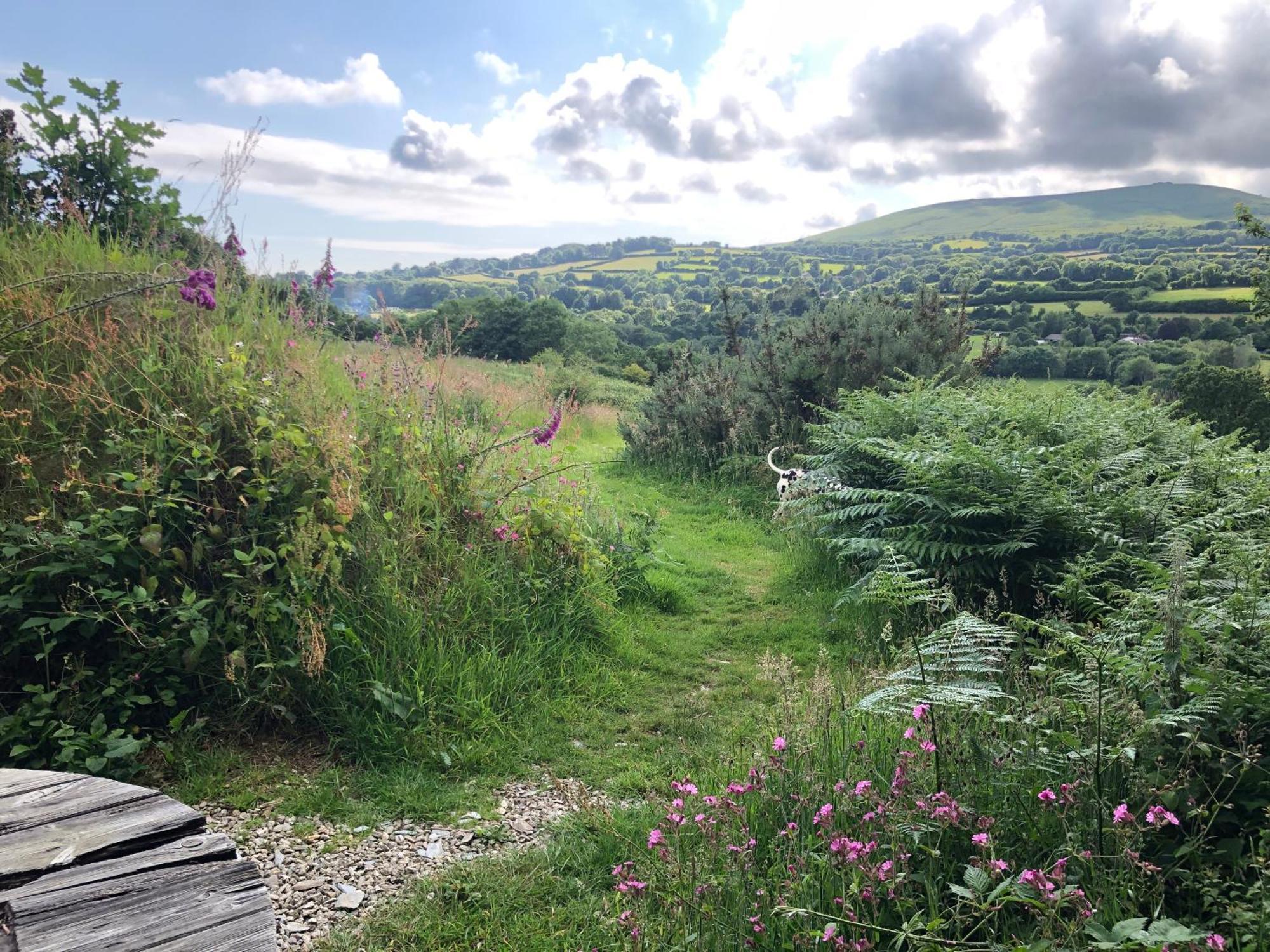 Foxesden, Unique Eco Cabin, Dartmoor Views South Brent Exteriör bild